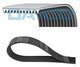 COURROIE CRANTEE DAYCO 11PK2835HD